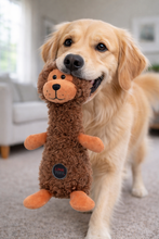 Cargar imagen en el visor de la galería, Juguete para Perro Peluche León