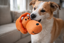 Cargar imagen en el visor de la galería, Juguete para Perro Hipopótamo Naranja