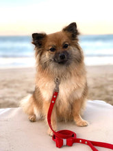 Cargar imagen en el visor de la galería, Lazo con Cristales para Perro Corbatin Navideño