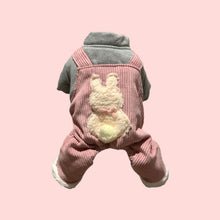 Cargar imagen en el visor de la galería, Mameluco Rosa Conejo bordado con moño