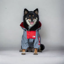 Cargar imagen en el visor de la galería, Impermeable Gris con Rojo
