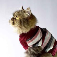 Cargar imagen en el visor de la galería, Saco Sweater para Perro o Gato Tejido Rayas