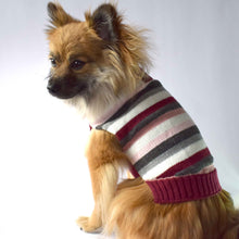 Cargar imagen en el visor de la galería, Saco Sweater para Perro o Gato Tejido Rayas