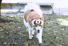 Cargar imagen en el visor de la galería, Disfraz Ardilla Mascota