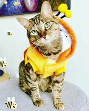 Cargar imagen en el visor de la galería, Disfraz Abeja Mascota