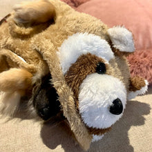 Cargar imagen en el visor de la galería, Disfraz Ardilla Mascota