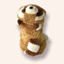 Cargar imagen en el visor de la galería, Disfraz Ardilla Mascota