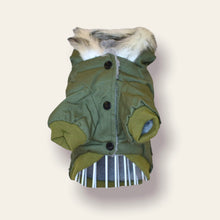 Cargar imagen en el visor de la galería, Chaqueta Verde Ovejerito Para Perro o Gato