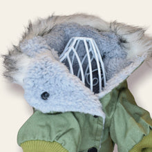 Cargar imagen en el visor de la galería, Chaqueta Verde Ovejerito Para Perro o Gato