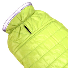 Cargar imagen en el visor de la galería, Chaleco Impermeable Doble faz para Perro Morado-Verde