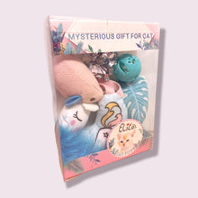 Cargar imagen en el visor de la galería, Juguete Para Gato Regalo Cajita De Lujo Cumpleaños