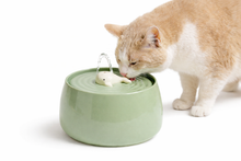 Cargar imagen en el visor de la galería, Fuente Ceramica Ballenita Verde

