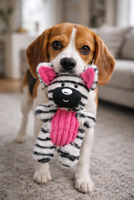 Cargar imagen en el visor de la galería, Juguete para Perro Zebra Orejas Largas

