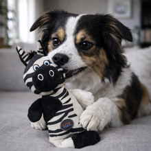 Cargar imagen en el visor de la galería, Juguete para Perro Zebra Resistente
