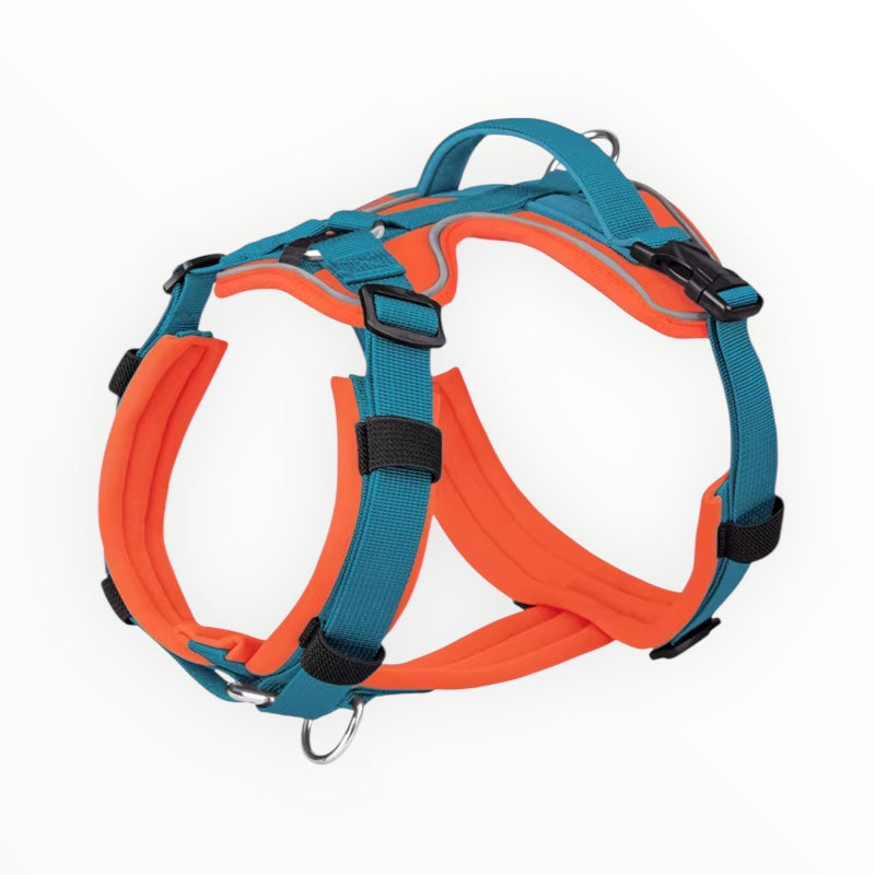 Arnes Sport con Refuerzos Vivido