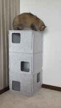 Cargar y reproducir el video en el visor de la galería, Torre De Lujo Para Gatos
